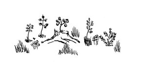 Waldcoaching Baumstrunk Ahornkeimling Gräser Blumen Waldbild u-Theorie