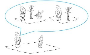 Waldcoaching Eichhörnchen Feldstecher Baum Waldbild Umgang mit Widerstand