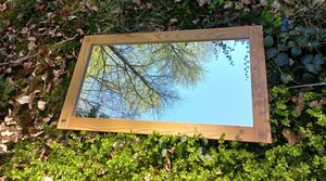 Waldcoaching Spiegel Heidelbeeren