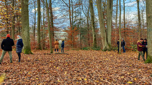 Waldcoaching Teilnehmer Team