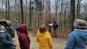 [Translate to English:] Waldcoaching Teilnehmende Buchenausschlag